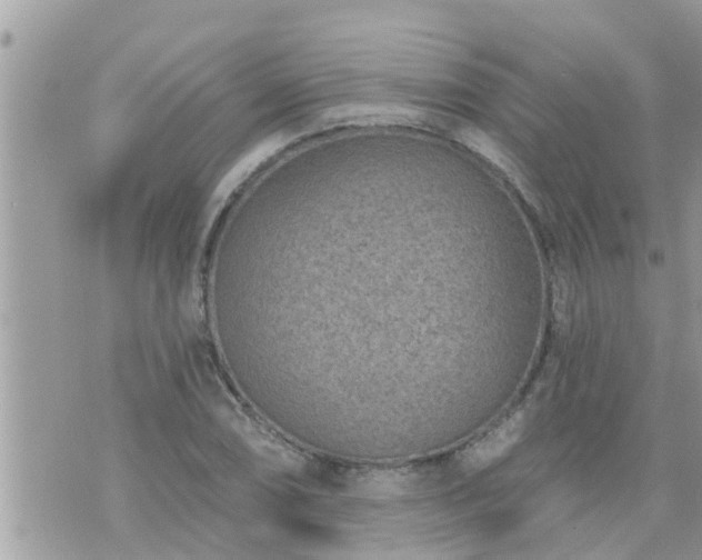 X0000073731074200608101924