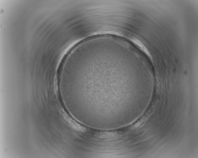 X0000073731076200608101924