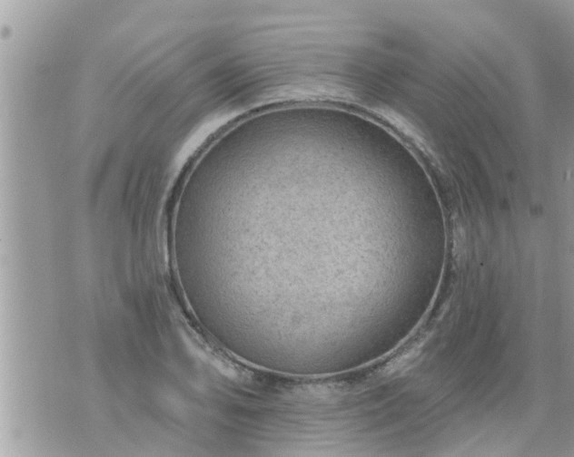 X0000073731078200608101924