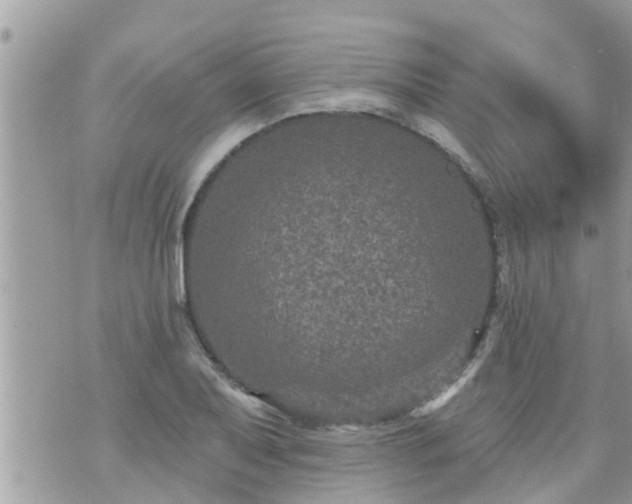 X0000073731079200608101924