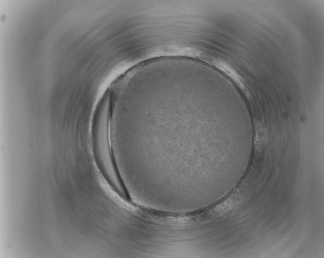 X0000073731080200608101924