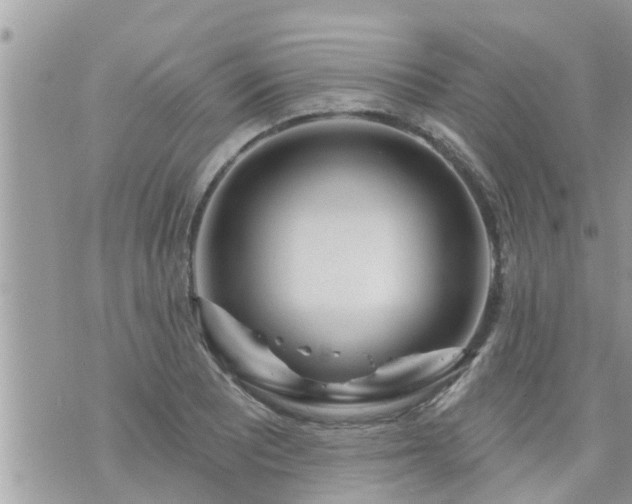 X0000073731081200608101924