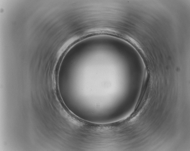 X0000073731082200608101924