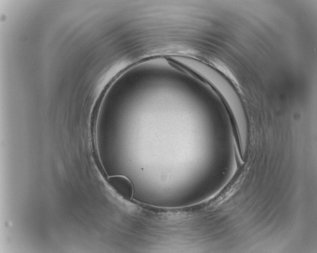 X0000073731087200608101924