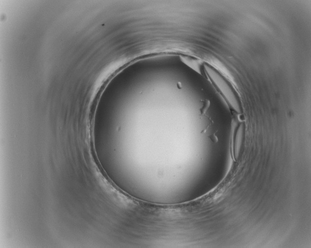 X0000073731088200608101924