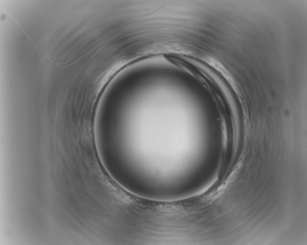 X0000073731089200608101924