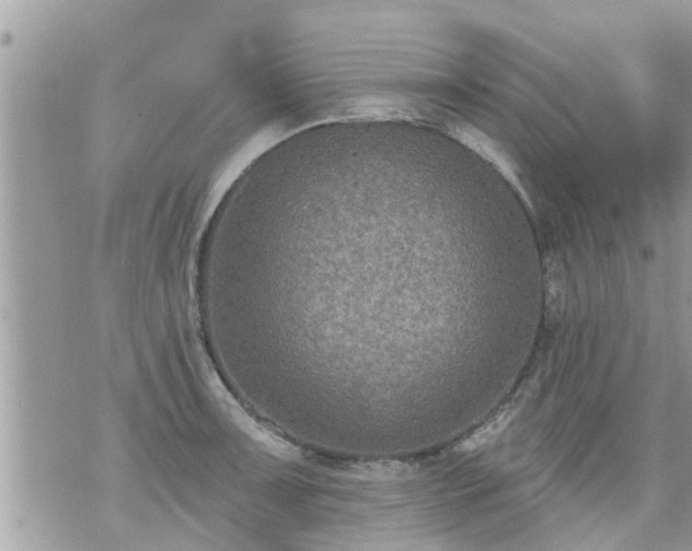 X0000073731091200608101924