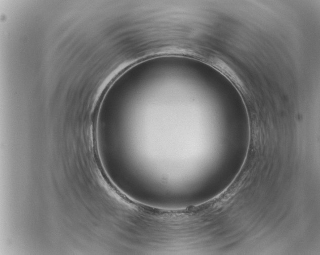 X0000073731092200608101924