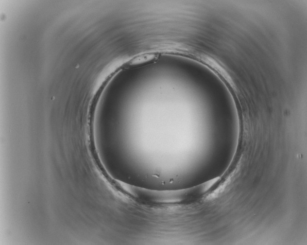 X0000073731093200608101923