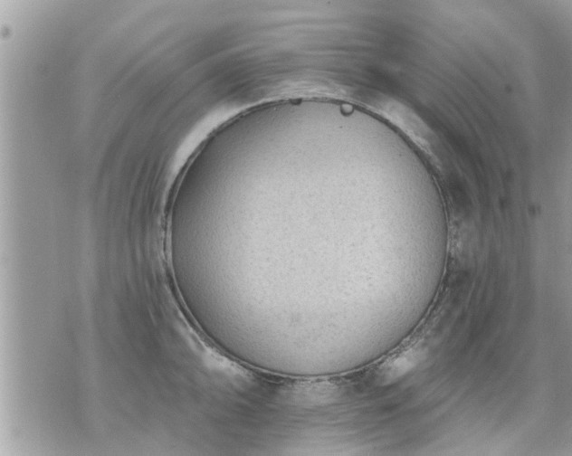 X0000073731094200608101923