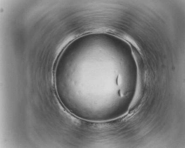 X0000073731095200608101923