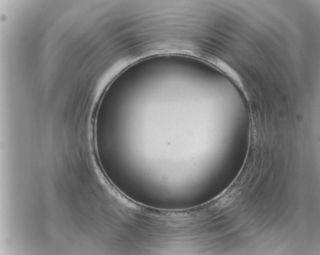 X0000073731096200608101923