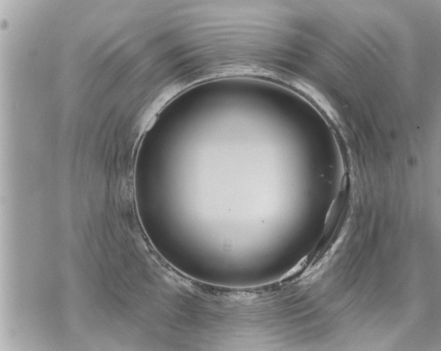 X0000073731097200608101923