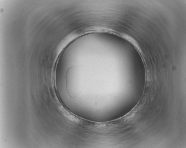 X0000073731098200608101923