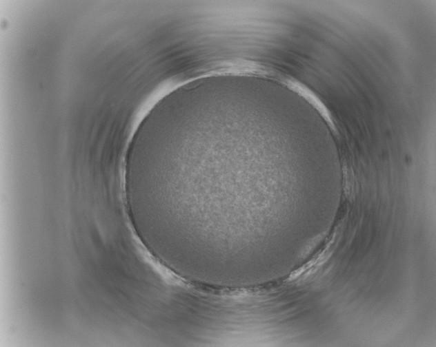 X0000073731099200608101923