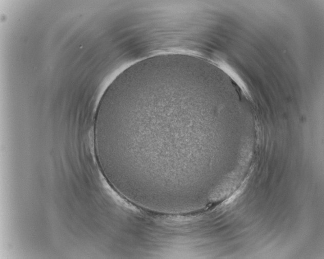 X0000073731100200608101923