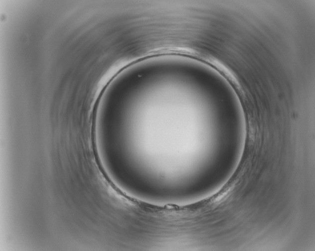 X0000073731102200608101923