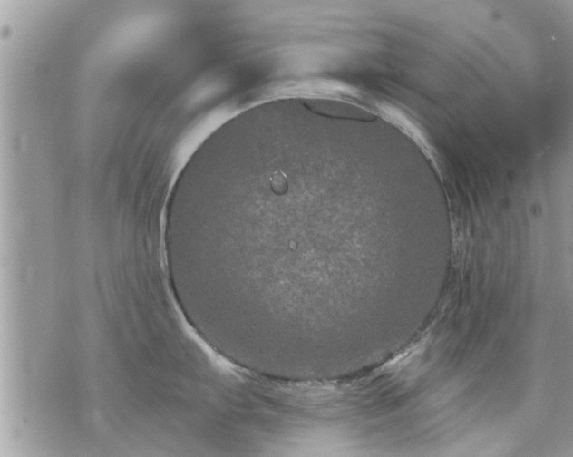 X0000073731103200608101923