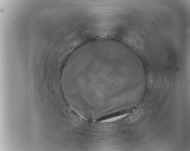 X0000073731105200608101923