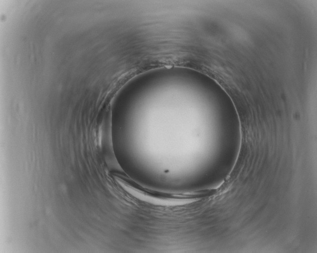 X0000073731106200608101923