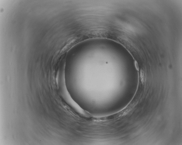 X0000073731107200608101923