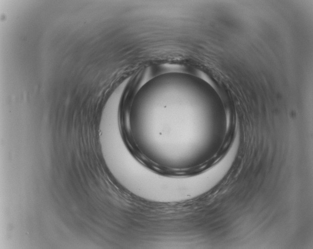 X0000073731108200608101923