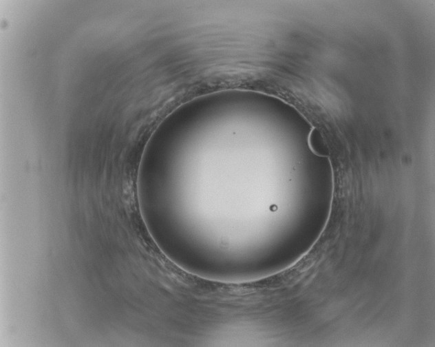 X0000073731109200608101923