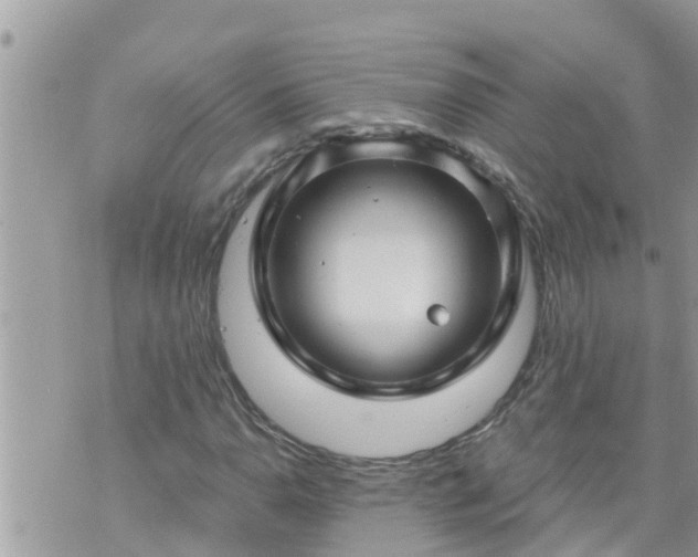 X0000073731110200608101923