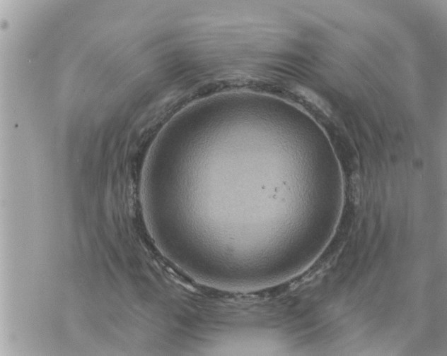 X0000073731111200608101923