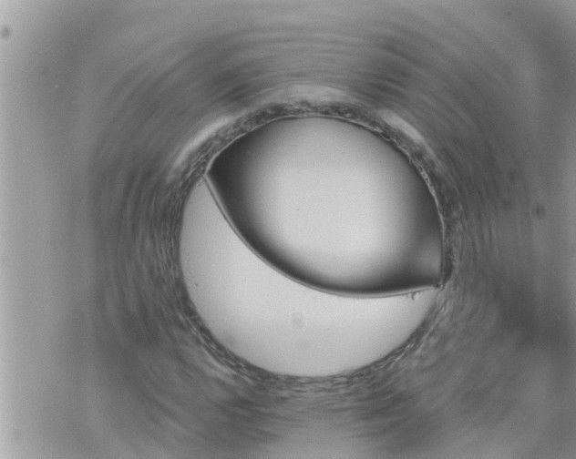 X0000073731112200608101923