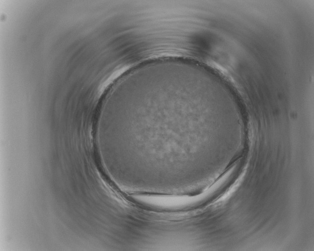 X0000073731113200608101923