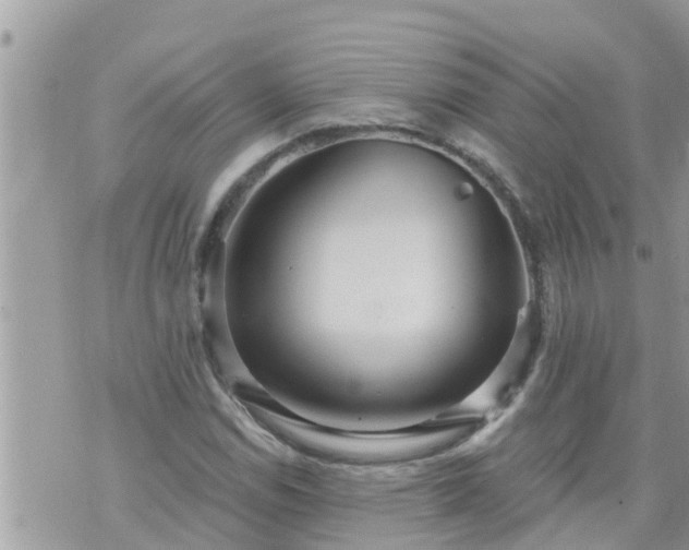 X0000073731114200608101923