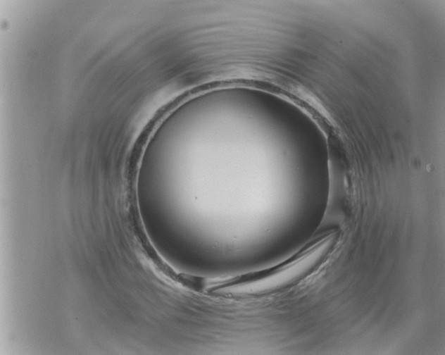 X0000073731116200608101923