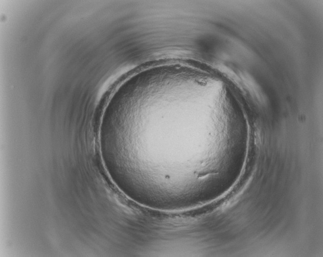 X0000073731117200608101923