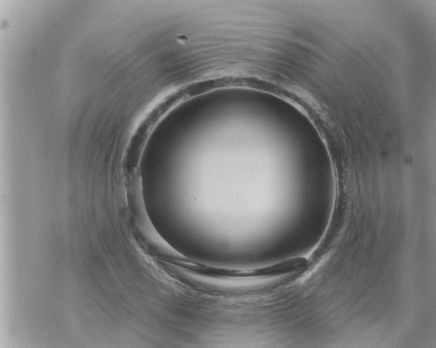 X0000073731118200608101923