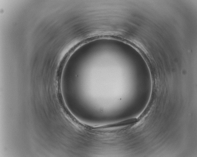 X0000073731119200608101923