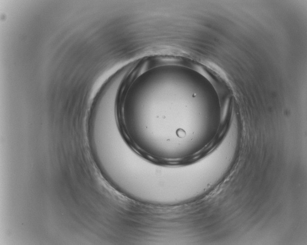 X0000073731120200608101923