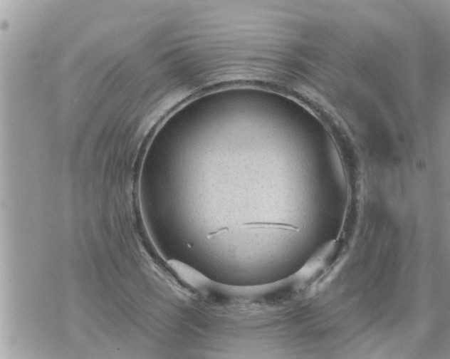 X0000073731121200608101923