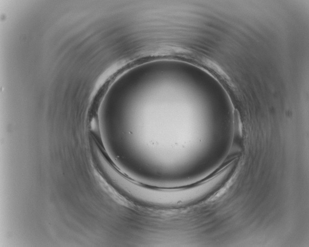 X0000073731122200608101923