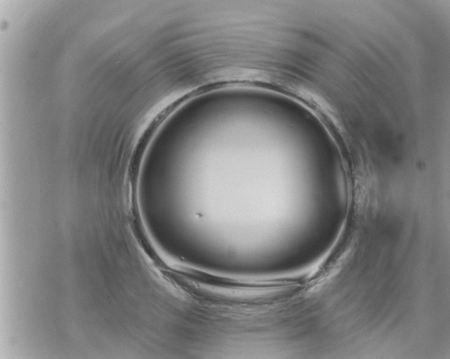 X0000073731125200608101923