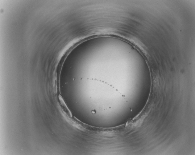 X0000073731126200608101923