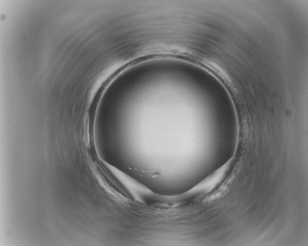 X0000073731128200608101923