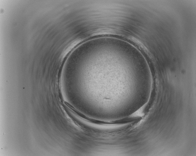 X0000073731129200608101923