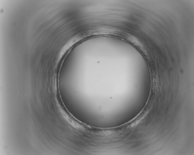 X0000073731130200608101923