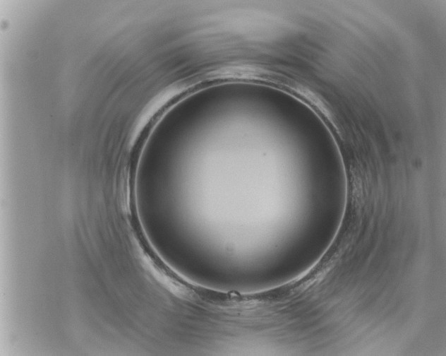 X0000073731131200608101923