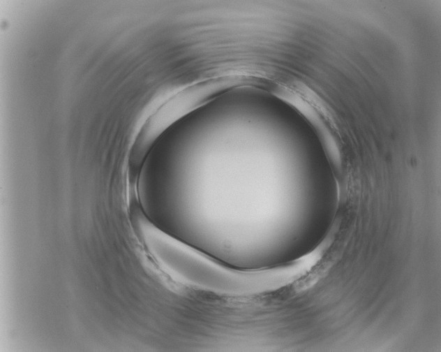 X0000073731132200608101923