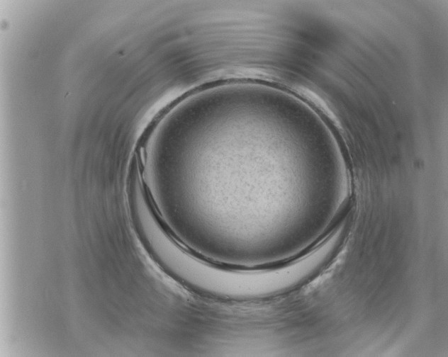 X0000073731133200608101923