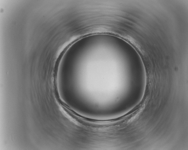 X0000073731134200608101923