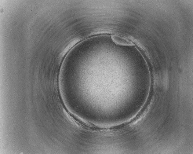 X0000073731137200608101923