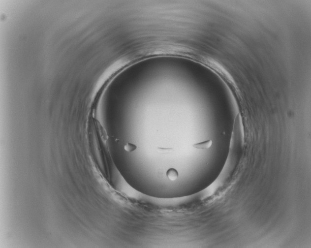 X0000073731138200608101923